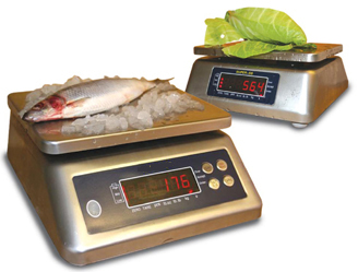 waterproof scales