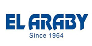 security system | El Arabia For Supplies and Engineering Industries | الشركة العربية للتوريدات والصناعات الهندسية